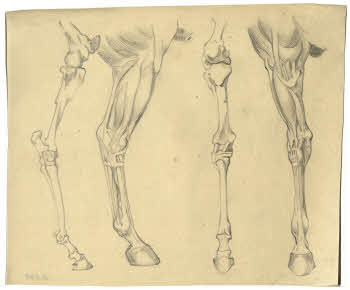 Visualizza l'immagine "FD D 141"